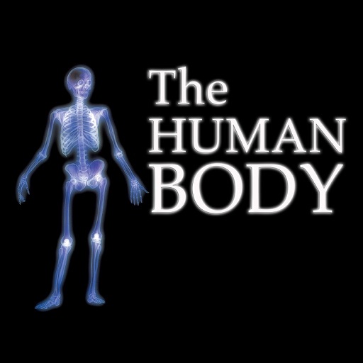 The Human Body Review