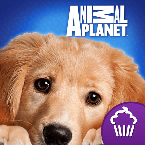 Animal Planet Hide & Seek Pets Review